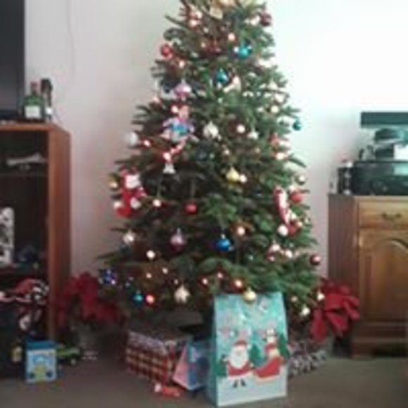 hermelindo_l